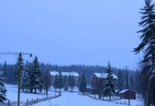 Photo of Новости Пресненского района